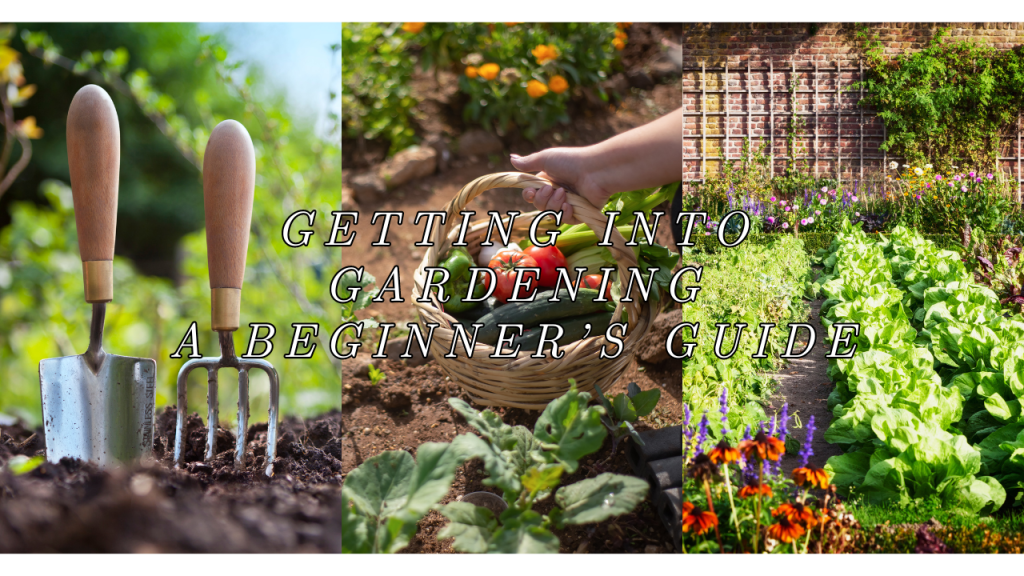 Getting Into Gardening – A Beginner’s Guide